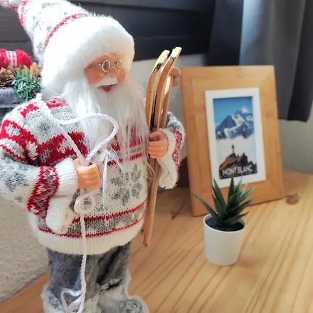 Appartement Au Pied Du Mont-blanc -