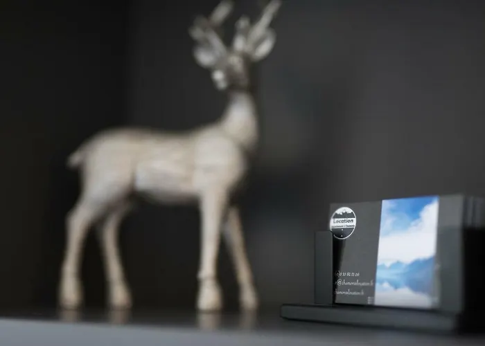 Au Pied Du Mont-blanc - *