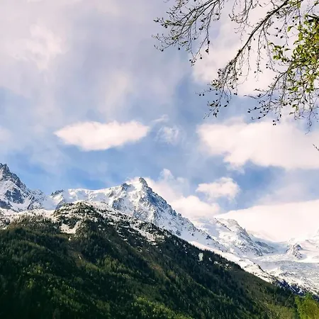 Au Pied Du Mont-blanc - * Chamonix